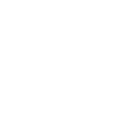 ОПОРА — социальный семинар для предпринимателей Молдовы
